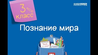 Познание мира. 3 класс. Моя безопасность /20.01.2021/