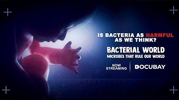 Do Bacteria Keep Us Safe From Infections? | Bacterial World -  Documentary Trailer