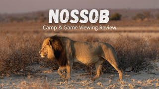 Nossob Rest Camp and Game Viewing Review - Kgalagadi Transfrontier Park