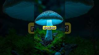 #Bioluminescence #SpermWhale #NatureFacts #OceanWonders #AmazingDiscovery #short #ytshorts #facts