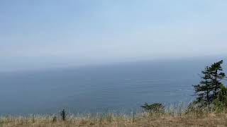 Pacific Coast Highway- Best Scenic Route Relaxation