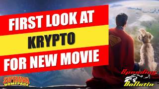 First Look at Krypto for the New "Superman" Movie - Speeding Bulletin #1046