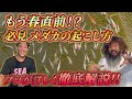 【必見】春直前！！〇〇するとメダカが死んでしまいます...