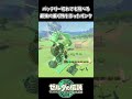 バッテリー切れても飛び続ける最強の乗り物を作ったリンクww【ゼルダの伝説 ティアーズ オブ ザ キングダム】