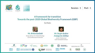 S1 – Part 1 - A framework for transition:towards the post-2020 Global Biodiversity Framework