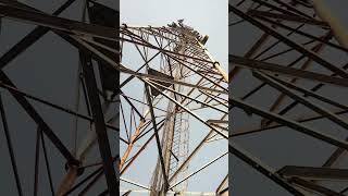 tower line #telecomlife #electrical #industrialelectrician #viralvideo #electrician #malikvlogs