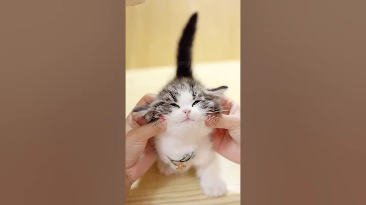 Watch the video about Warning