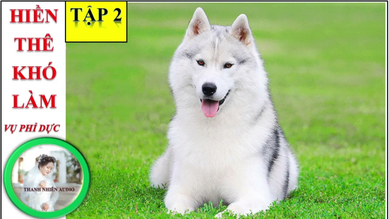 TẬP 2: Như Lam tỷ tỷ khi dễ người ta _ HIỀN THÊ KHÓ LÀM (16-30)