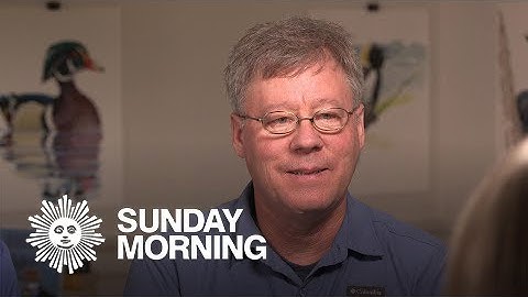 David Sibley: Growing up as a birder