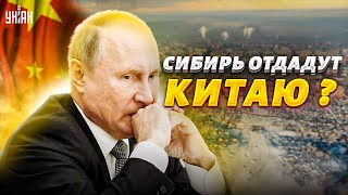 Сибирь официально отошла Китаю. Путин отдал первый регион России. Документ взорвал сеть