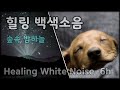 힐링 백색소음 입니다. 댕댕이 수면과 휴식에 도움을 줘요~ 강아지가 보는 유튜브 (Puppies' Favorite Sound)