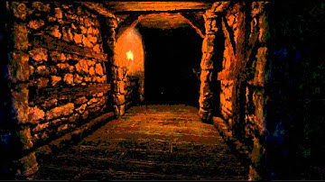 Amnesia: The Dark Descent ONLY A TEST! ( monster almost gets me:D )