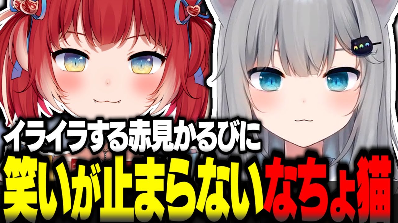 イライラする赤見かるびに笑いが止まらないなちょ猫【赤見かるび