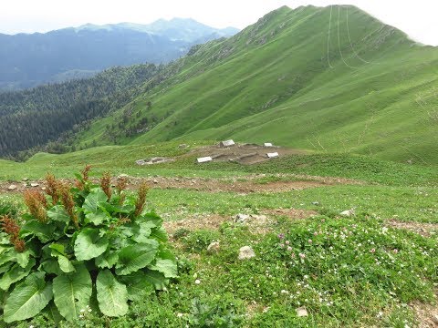 მზის ელექტრული სადგურის მონტაჟი ალპურ ზონაში - \"მზის სახლი\" ბორჯომ-ხარაგაულის ეროვნული პარკში