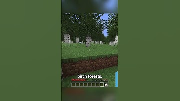 Speedrunning a random item 14