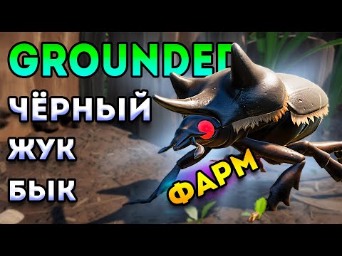 Видео: как фармить - черный жук бык grounded | grounded гайд