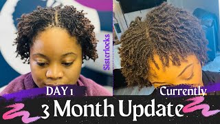 Short 3 Month Sisterlock Update with Pictures and Videos