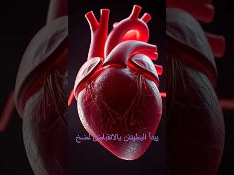 هل تعلم أن قلب الإنسان يرسل إشارات كهربائية تنظم نبضه