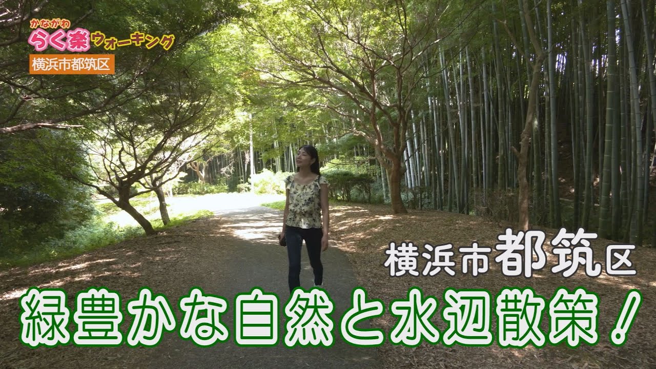 【らく楽ウォーキング】横浜市都筑区