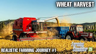 Realistic Farming Journey | Episode 1 – Wheat Harvest & Silo Transport | Farming Simulator 25 screenshot 4