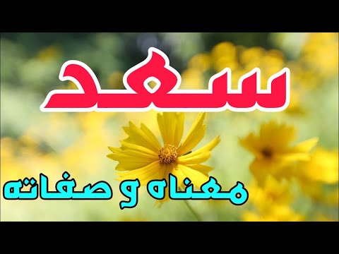 تفسير حلم رؤية اسم سعد في المنام موقع حدوتة