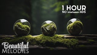 Calm Spa Meditation Peaceful Music for Stress Relief Healing and Inner Stillness
