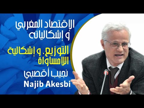 ٤ التوزيع و إشكالية اللامساواة