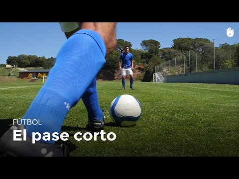 ¿Cómo se hace
