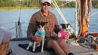 Video thumbnail of "Sailing Ottiliana: We have no rats on board Ottiliana!"