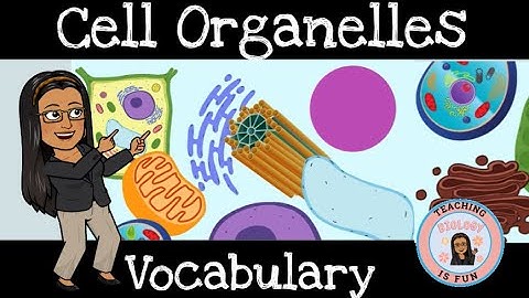 Cell Organelles Middle and High School @TeachingBiologyisFun / TEACHING BIOLOGY IS FUN