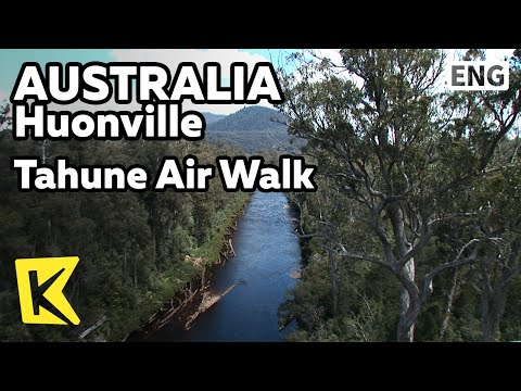 【K】Australia Travel-Huonville[호주 여행-후온빌]숲속 타훈 에어워크/Tahune Air Walk/Tree/Wallaby/Huon Pine/Forest