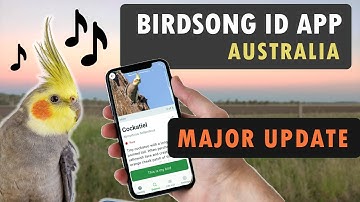 Birdsong Identification App - Major Update 2025 Q4