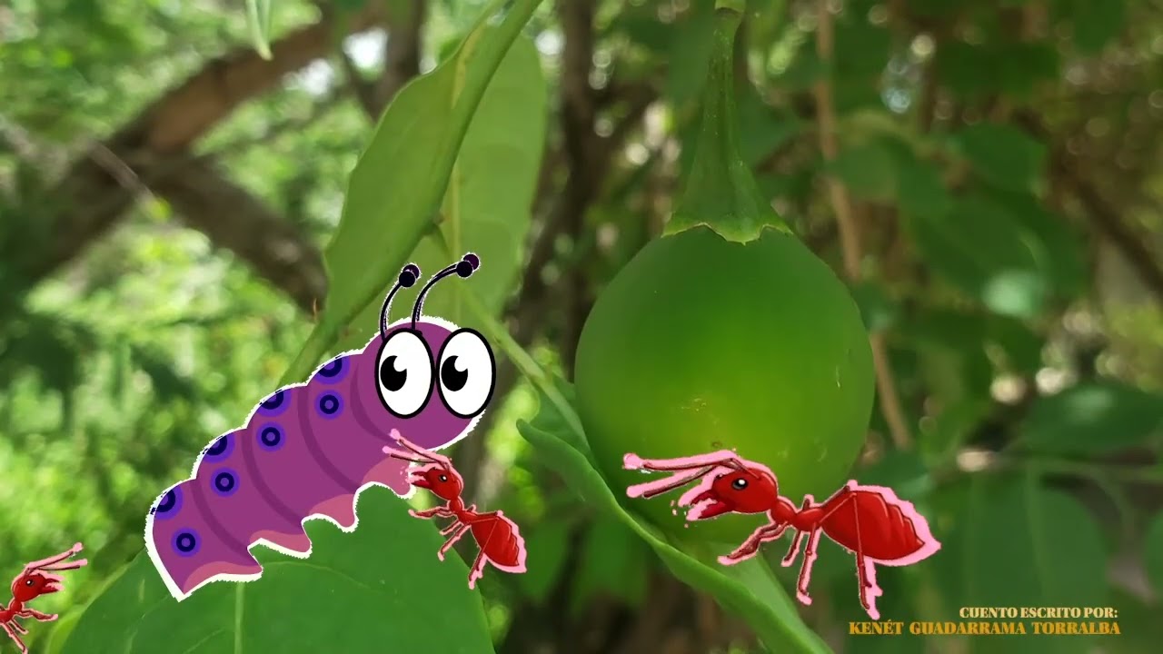 Cuento las hormigas enojonas/ Tras las huellas de la naturaleza