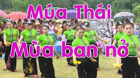 Múa Thái Tây Bắc - Múa Thái Sơn La - Mùa ban nở