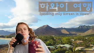 백인이 한국어로만 하와이에서 vlog을 한다!