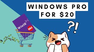 The Cheapest Windows Key that Works!