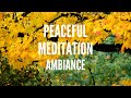 Peaceful meditation w subtle music  ambiance study meditation  relaxation