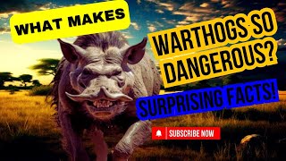 Why Warthogs Are More Dangerous Than You Think!”
