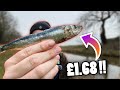 Trying To Catch A Pike On The Cheapest Deadbait EVER !!!