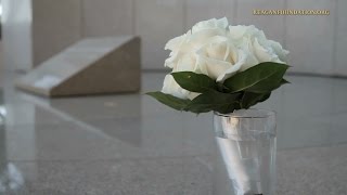 Inside the Reagan Library: Honoring the Life and Legacy of Ronald Reagan