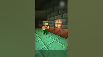 *NEW* LIGHT SOURCE IN 1.21 MINECRAFT | #shorts #minecraftshorts