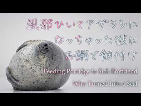 【女性向け】風邪ひいてアザラシになっちゃった彼にお粥で餌付け【シチュエーションボイス】