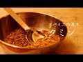 スパイスの基本・クミン【カレー&スパイス伝道師・渡辺 玲】