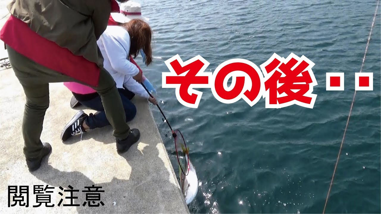 釣り スギ 四平 堤防