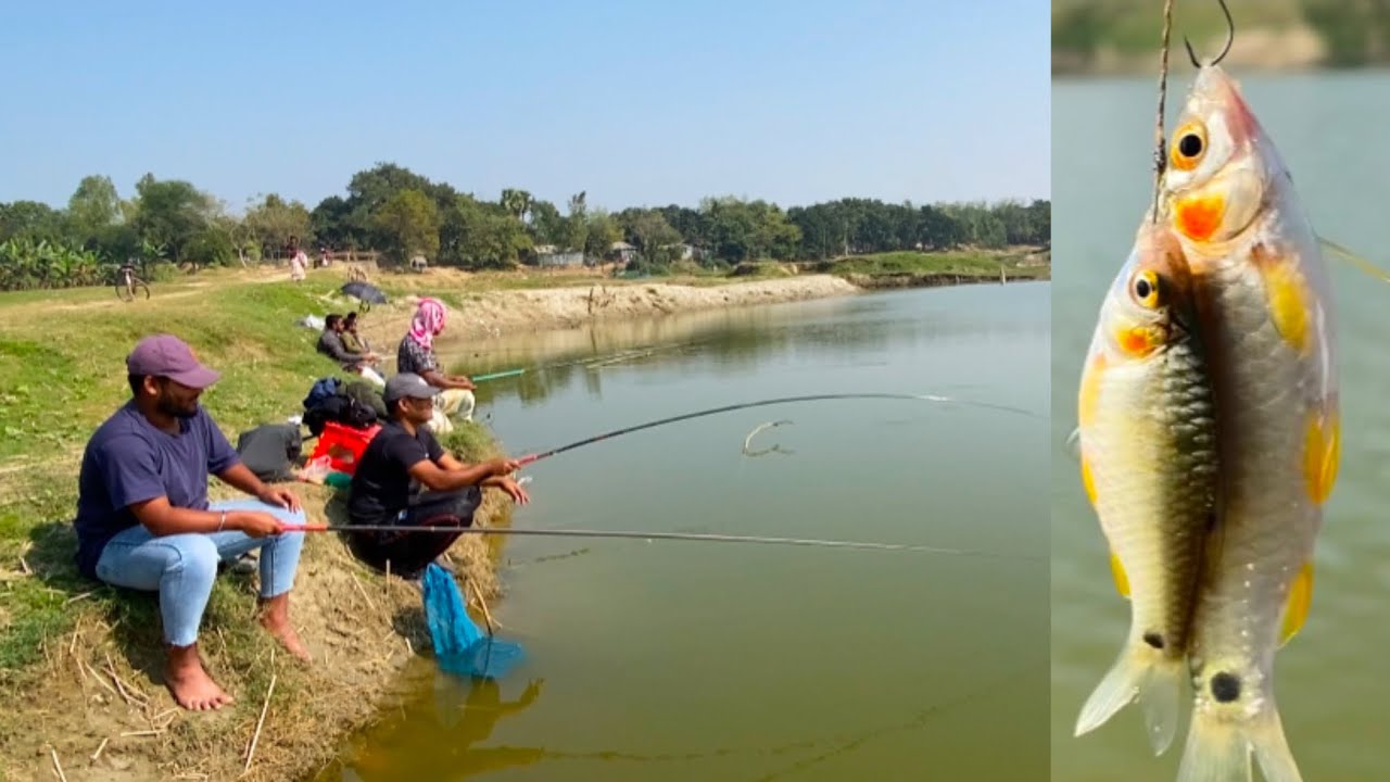 Pytty Fish পুটি মাছের টোপ চার ও সেরা জায়গা || How to catch putty fish 2025 - YouTube
