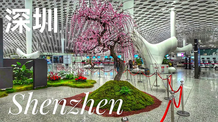 Walking Shenzhen China | Shenzhen Bao'an Airport at Midnight | The Architecture of Shenzhen Airport