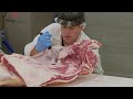 Learn the art of butchery  beef chuck with professor phil bass