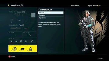 call of duty ghosts: purge anarky class setup