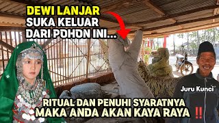 Pak Kunci.. Dari Pohon Ini Dewi Lanjar Suka Keluar ‼️ Penuhi Syaratnya Dan Ritual Anda Akan Kaya.