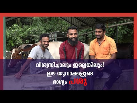 വിശ്വസിച്ചാലും ഇല്ലെങ്കിലും! ഈ യുവാക്കളുടെ ഭാഗ്യം പശു/ How to make a profitable diary farm?